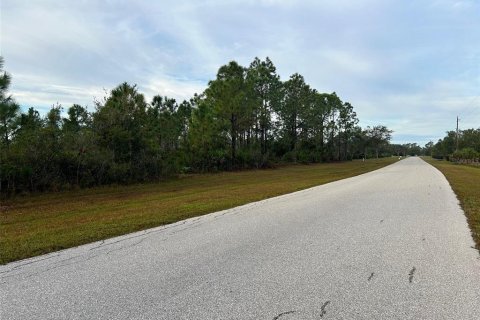 Terrain à vendre à Punta Gorda, Floride № 1276232 - photo 5