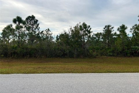 Terreno en venta en Punta Gorda, Florida № 1276232 - foto 9