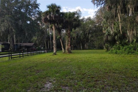 Terreno en venta en Lake Panasoffkee, Florida № 1336386 - foto 5