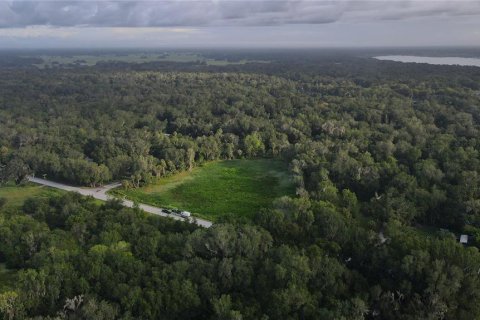 Terreno en venta en Lake Panasoffkee, Florida № 1336386 - foto 20