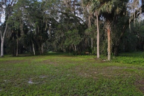 Terreno en venta en Lake Panasoffkee, Florida № 1336386 - foto 26