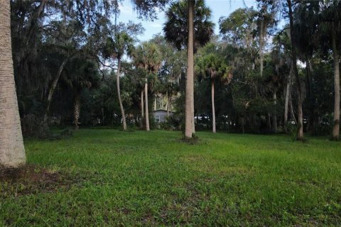 Terreno en venta en Lake Panasoffkee, Florida № 1336386 - foto 28