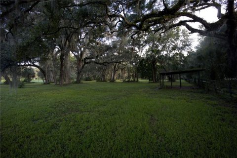 Terreno en venta en Lake Panasoffkee, Florida № 1336386 - foto 11