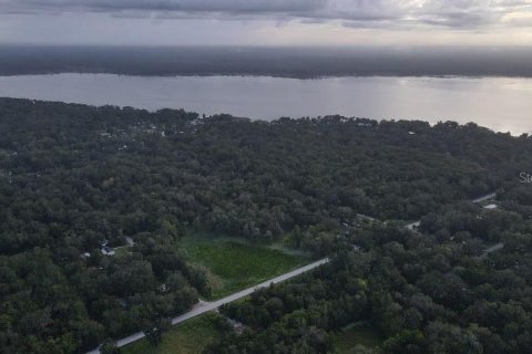 Land in Lake Panasoffkee, Florida № 1336386 - photo 17