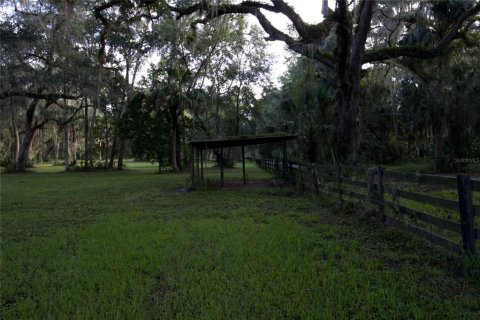 Terreno en venta en Lake Panasoffkee, Florida № 1336386 - foto 10