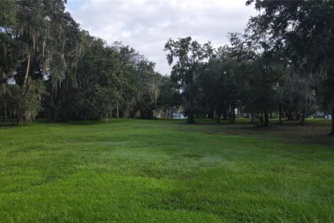 Terreno en venta en Lake Panasoffkee, Florida № 1336386 - foto 22