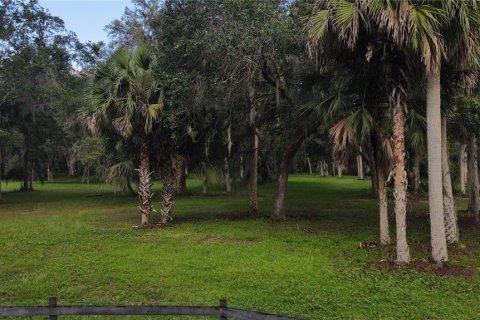 Terreno en venta en Lake Panasoffkee, Florida № 1336386 - foto 12