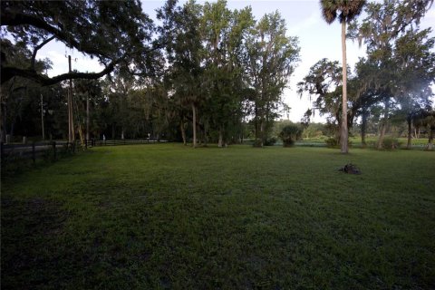 Terreno en venta en Lake Panasoffkee, Florida № 1336386 - foto 8