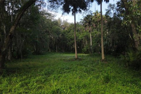 Terreno en venta en Lake Panasoffkee, Florida № 1336386 - foto 27