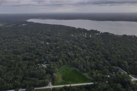 Land in Lake Panasoffkee, Florida № 1336386 - photo 18