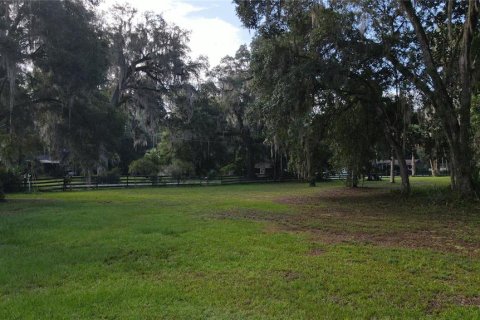 Terreno en venta en Lake Panasoffkee, Florida № 1336386 - foto 23