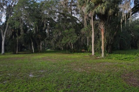 Terreno en venta en Lake Panasoffkee, Florida № 1336386 - foto 25