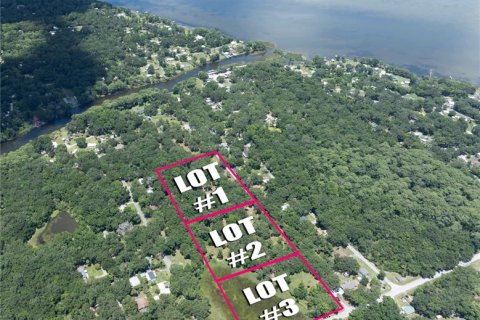 Terreno en venta en Lake Panasoffkee, Florida № 1336386 - foto 2