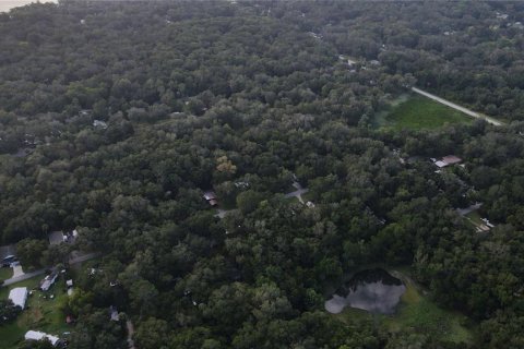 Land in Lake Panasoffkee, Florida № 1336386 - photo 15