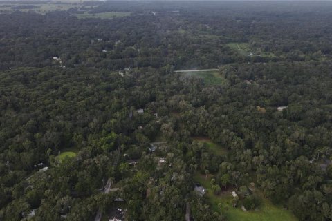 Land in Lake Panasoffkee, Florida № 1336386 - photo 13