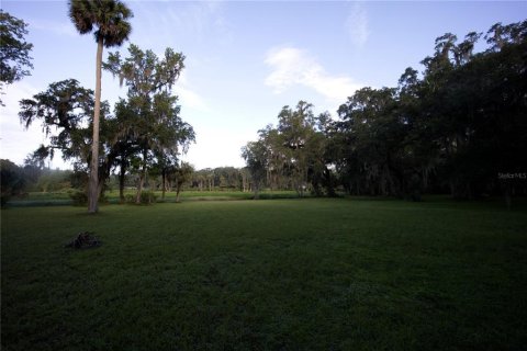 Terreno en venta en Lake Panasoffkee, Florida № 1336386 - foto 9