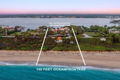 Villa ou maison à vendre à Manalapan, Floride: 8 chambres, 1149.94 m2 № 991905 - photo 7