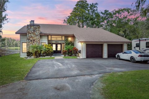 House in Lutz, Florida 5 bedrooms, 324.97 sq.m. № 797170 - photo 11