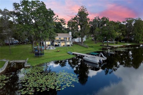Villa ou maison à vendre à Lutz, Floride: 5 chambres, 324.97 m2 № 797170 - photo 6