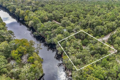 Land in Branford, Florida № 1385242 - photo 3