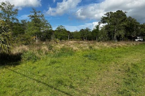 Land in Jupiter, Florida № 1077409 - photo 5