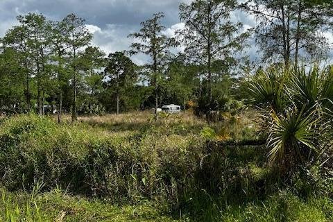 Land in Jupiter, Florida № 1077409 - photo 7