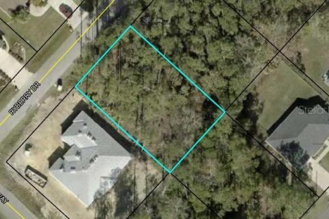 Terreno en venta en Palm Coast, Florida № 1379659 - foto 1