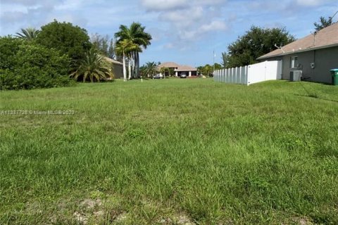 Land in Cape Coral, Florida № 286495 - photo 3