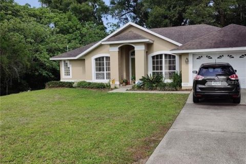 Villa ou maison à vendre à DeLand, Floride: 3 chambres, 152.36 m2 № 1195310 - photo 1