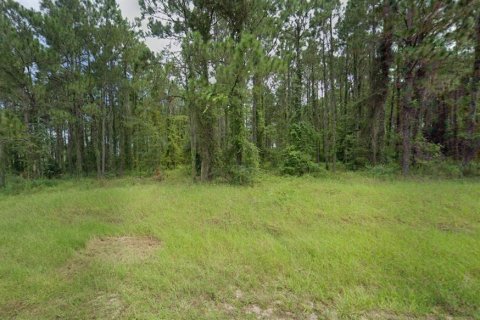 Terreno en venta en Leesburg, Florida № 1299410 - foto 2