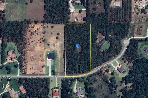 Land in Leesburg, Florida № 1299410 - photo 1