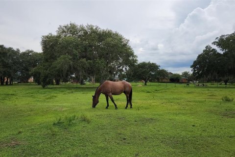 Terreno en venta en Lake Wales, Florida № 1299377 - foto 22