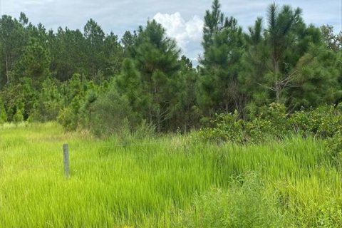 Terreno en venta en Clermont, Florida № 1355557 - foto 3