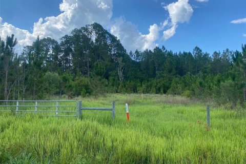 Land in Clermont, Florida № 1355557 - photo 2