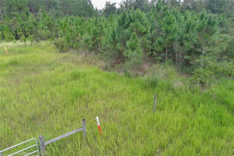 Land in Clermont, Florida № 1355557 - photo 10