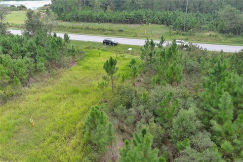 Land in Clermont, Florida № 1355557 - photo 13