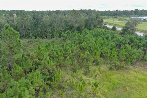 Land in Clermont, Florida № 1355557 - photo 11