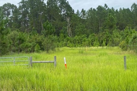 Land in Clermont, Florida № 1355557 - photo 4