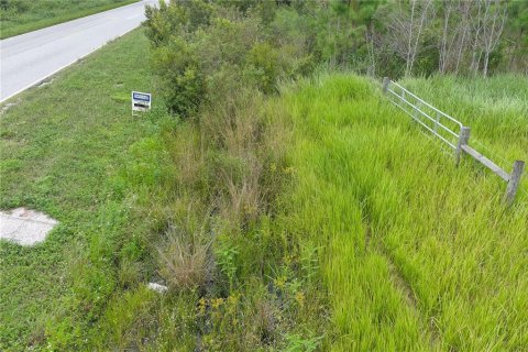 Land in Clermont, Florida № 1355557 - photo 14