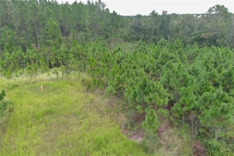 Land in Clermont, Florida № 1355557 - photo 9