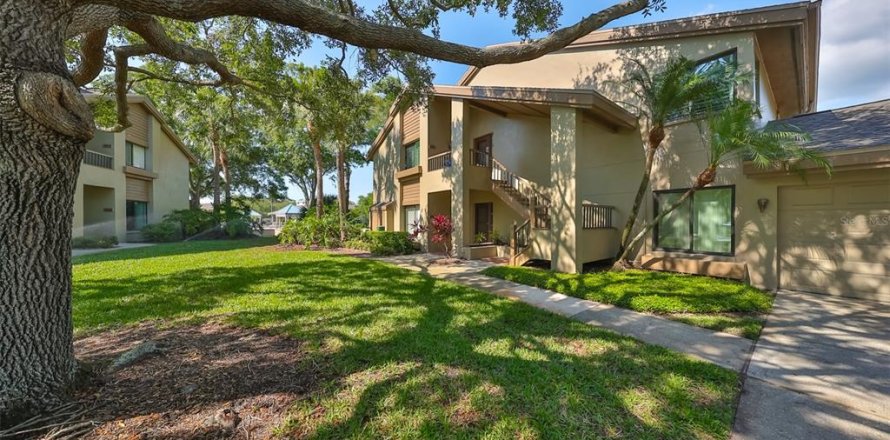 Condominio en Palm Harbor, Florida, 3 dormitorios  № 1355554