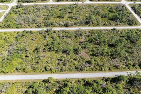 Terrain à vendre à Port Charlotte, Floride № 1112861 - photo 8