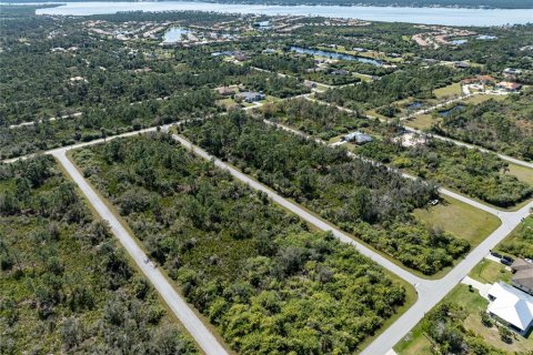 Terreno en venta en Port Charlotte, Florida № 1112861 - foto 6