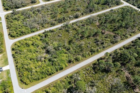 Land in Port Charlotte, Florida № 1112861 - photo 7