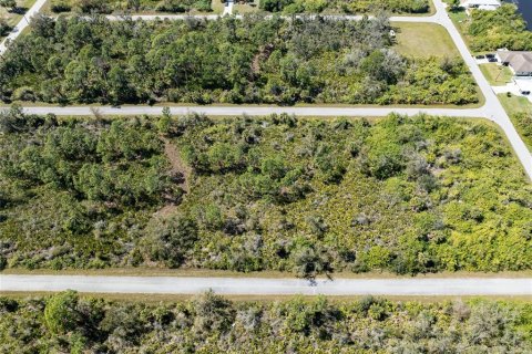 Terreno en venta en Port Charlotte, Florida № 1112861 - foto 3