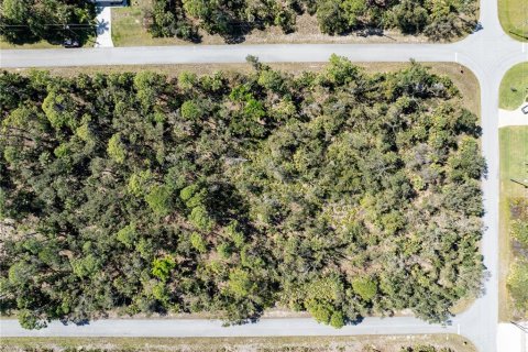 Terreno en venta en Port Charlotte, Florida № 1112858 - foto 11