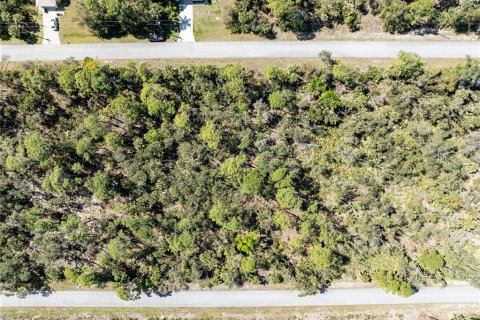 Terreno en venta en Port Charlotte, Florida № 1112858 - foto 10