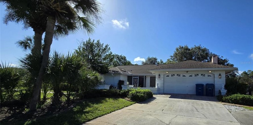 House in Spring Hill, Florida 3 bedrooms, 196.77 sq.m. № 1358325