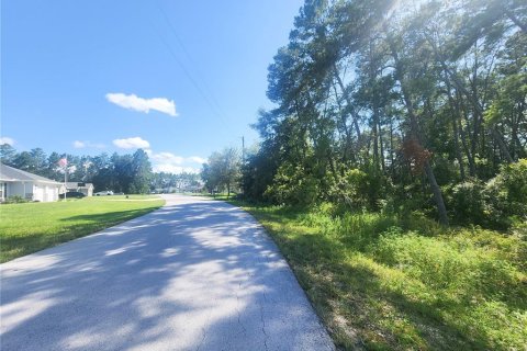 Terreno en venta en Ocala, Florida № 1313124 - foto 1