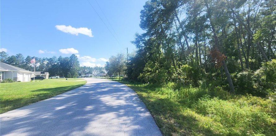 Terrain à Ocala, Floride № 1313124